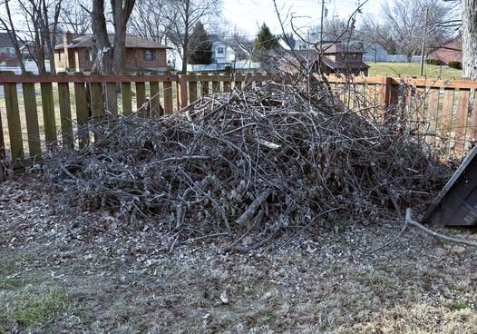 Large pile of tree branches and yard debris stacked along a backyard fence awaiting brush removal.
